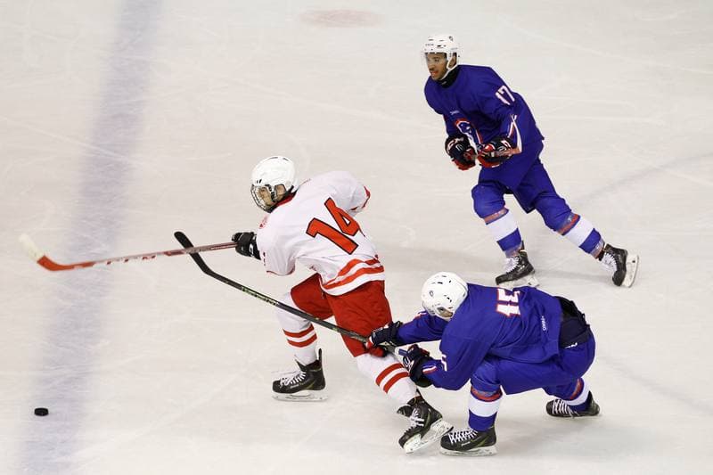 Ice Hockey. Friendly Match. Poland U20 - France U20. 06.08.2016