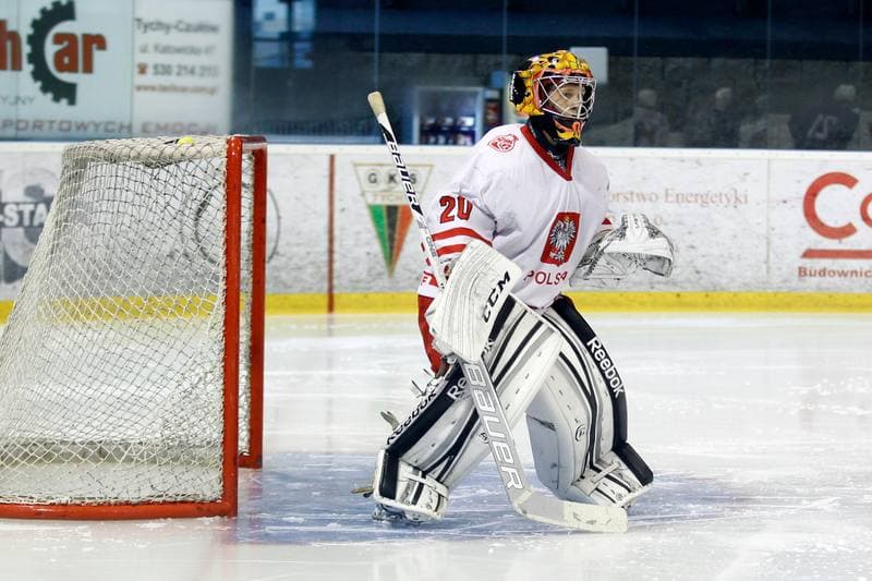 Ice Hockey. Friendly Match. Poland U20 - France U20. 06.08.2016