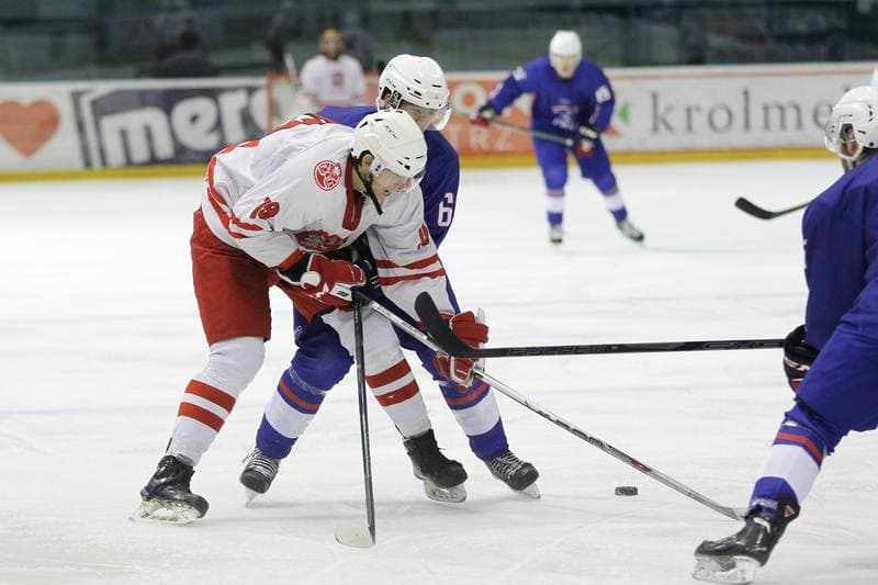 Ice Hockey. Friendly Match. Poland U20 - France U20. 06.08.2016