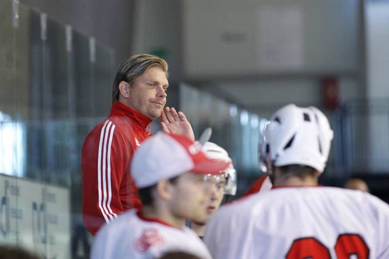 Ice Hockey. Friendly Match. Poland U20 - France U20. 06.08.2016