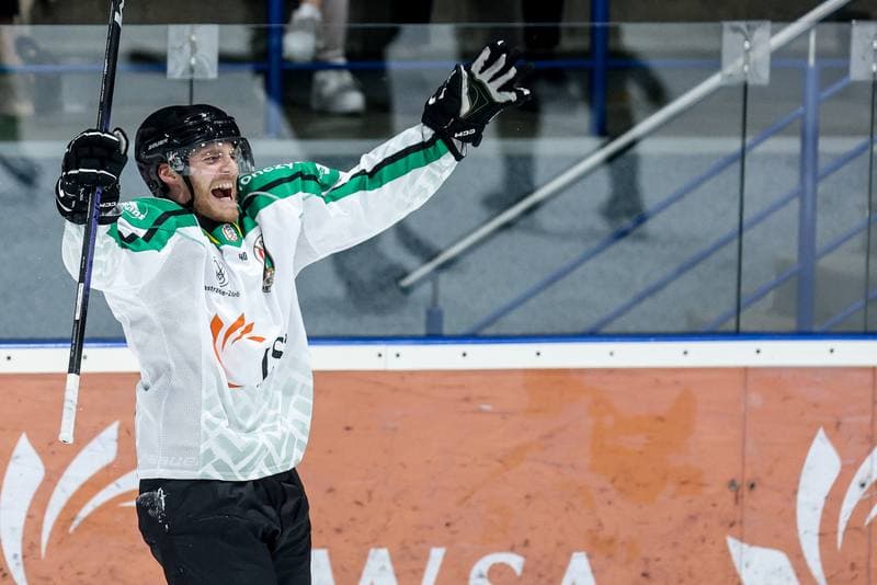 Ice Hockey. Tauron Hokej Liga. JKH GKS Jastrzebie - GKS Tychy. 20.10.2024