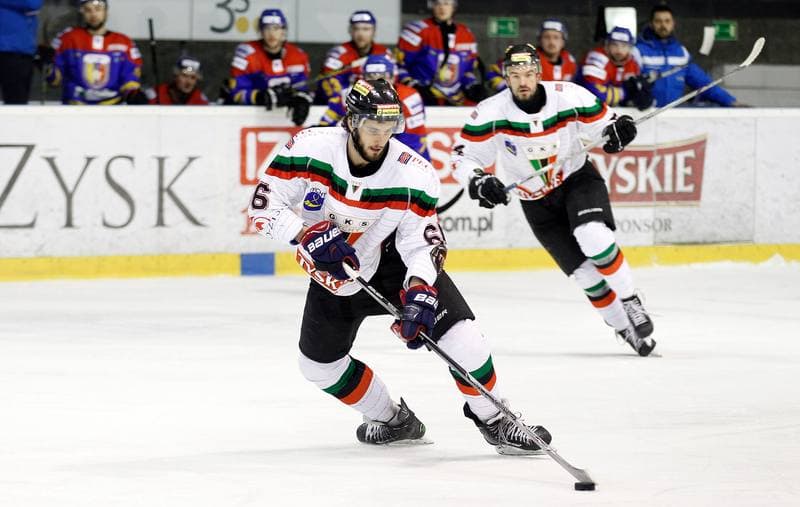Ice Hockey. Tauron Hokej Liga. GKS Tychy - Podhale Nowy Targ. 01.03.2016