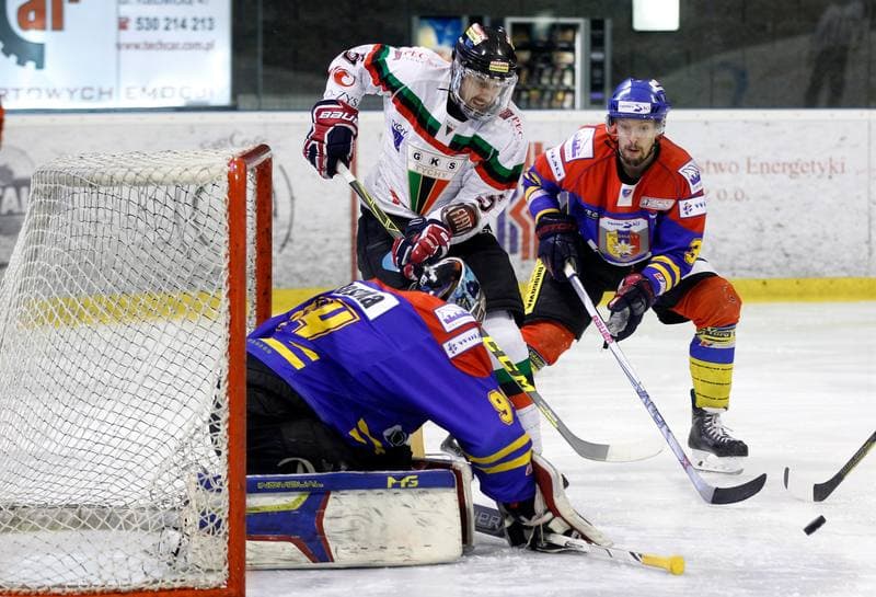 Ice Hockey. Polska Hokej Liga. GKS Tychy - Tatryski Podhale Nowy Targ. 29.02.2016