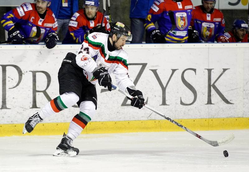 Ice Hockey. Polska Hokej Liga. GKS Tychy - Tatryski Podhale Nowy Targ. 29.02.2016