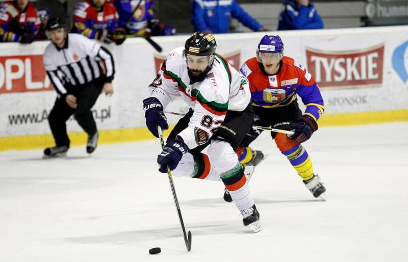 Ice Hockey. Polska Hokej Liga. GKS Tychy - Tatryski Podhale Nowy Targ. 29.02.2016