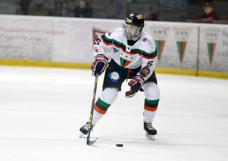 Ice Hockey. Polska Hokej Liga. GKS Tychy - Tatryski Podhale Nowy Targ. 29.02.2016