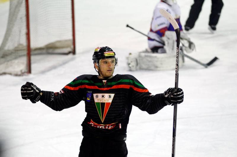 Ice Hockey. Tauron Hokej Liga. Polonia Bytom - GKS Tychy. 23.02.2016