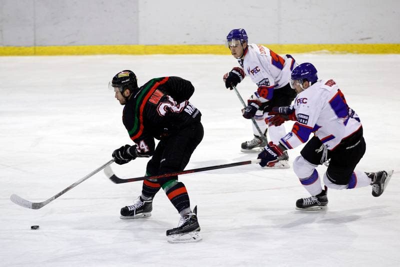 Ice Hockey. Tauron Hokej Liga. Polonia Bytom - GKS Tychy. 23.02.2016