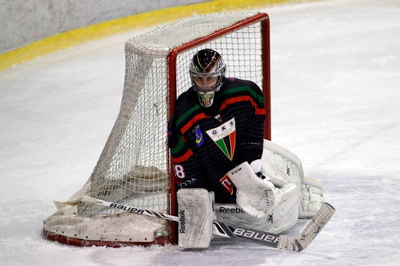 Ice Hockey. Tauron Hokej Liga. Polonia Bytom - GKS Tychy. 23.02.2016