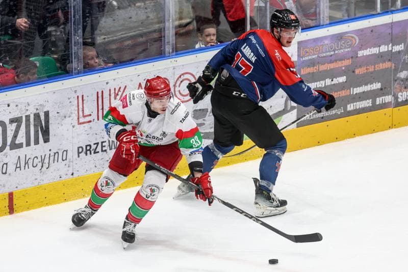 Ice Hockey. Tauron Hokej Liga. EC Bedzin Zaglebie Sosnowiec - KH Energa Torun. 19.01.2025