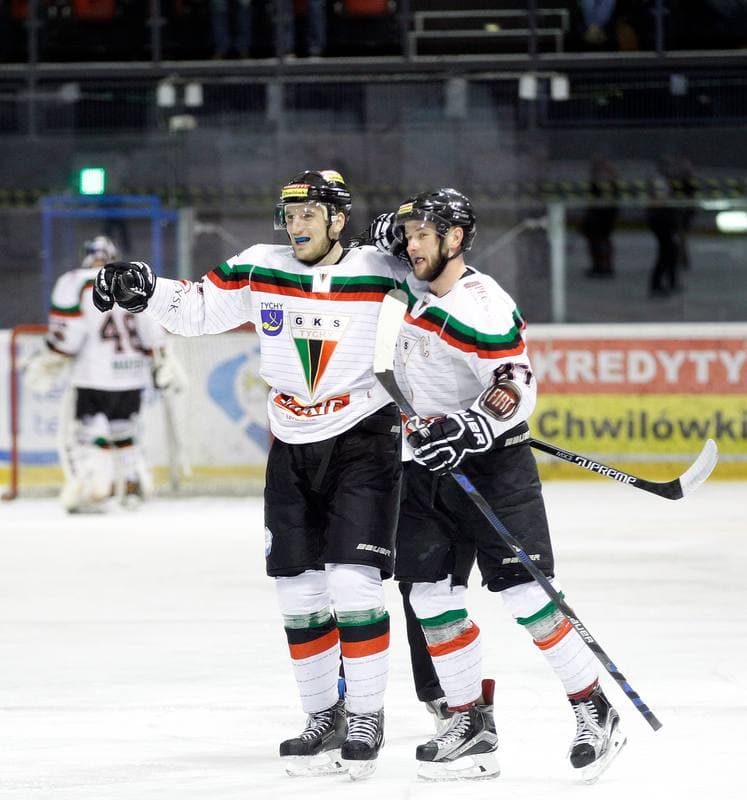 Ice Hockey. Tauron Hokej Liga. GKS Tychy - Polonia Bytom. 19.02.2016