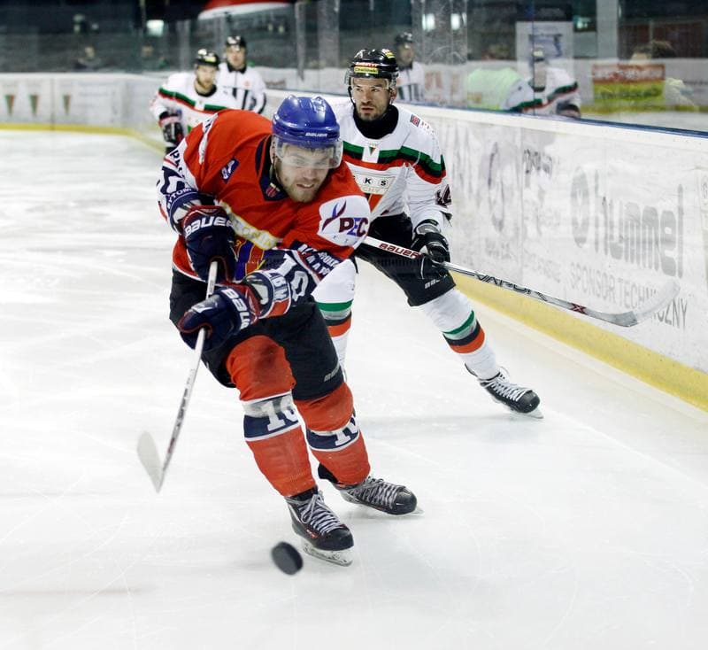 Ice Hockey. Tauron Hokej Liga. GKS Tychy - Polonia Bytom. 19.02.2016
