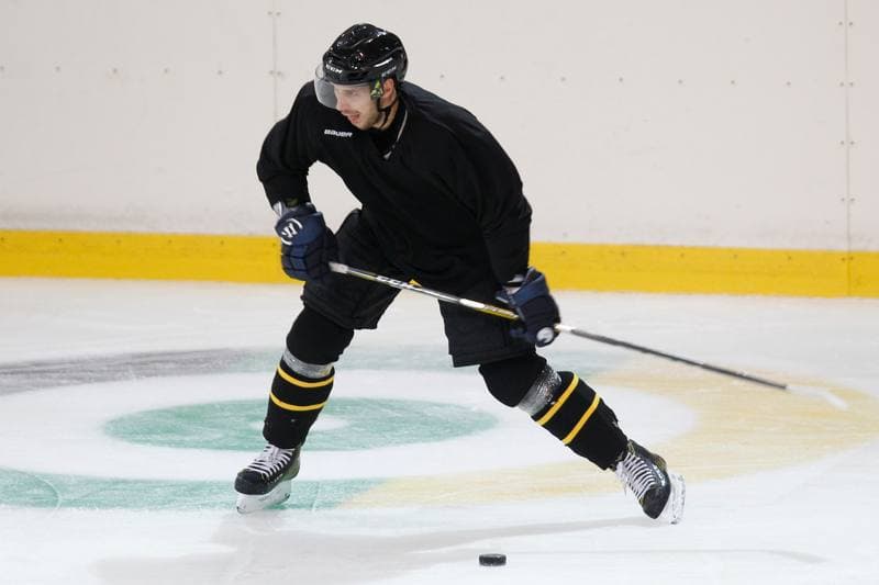 Ice Hockey. KH GKS Katowice. Training. 22.09.2016