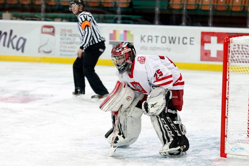 Ice Hockey. Women's Friendly Match. Poland - Hungary. 05.02.2016