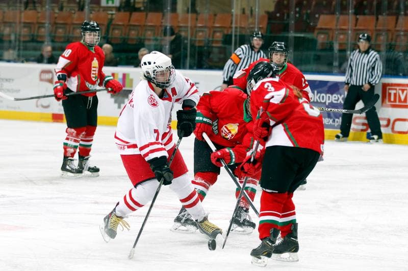 Ice Hockey. Women's Friendly Match. Poland - Hungary. 05.02.2016