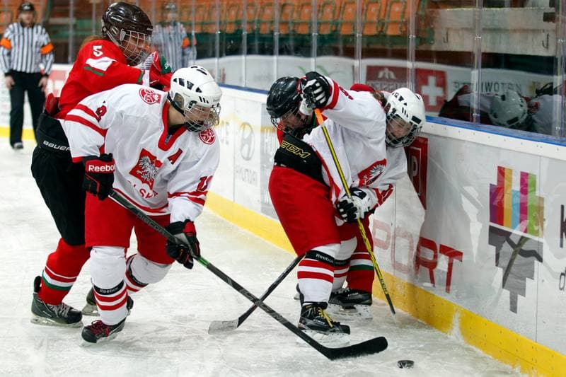Ice Hockey. Women's Friendly Match. Poland - Hungary. 05.02.2016