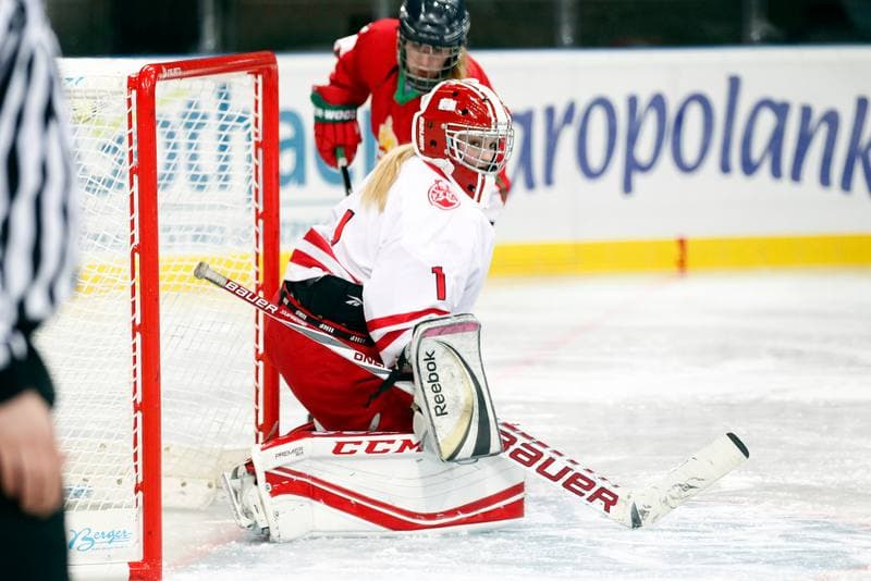 Ice Hockey. Women's Friendly Match. Poland - Hungary. 05.02.2016