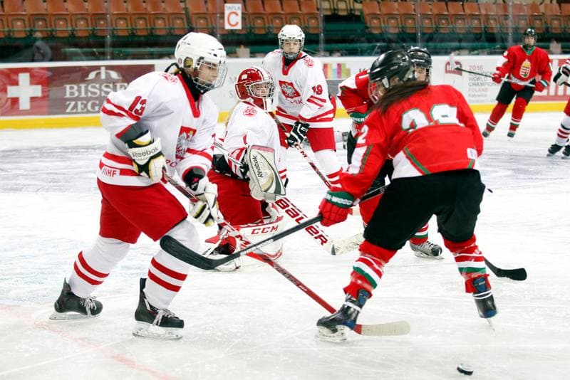 Ice Hockey. Women's Friendly Match. Poland - Hungary. 05.02.2016