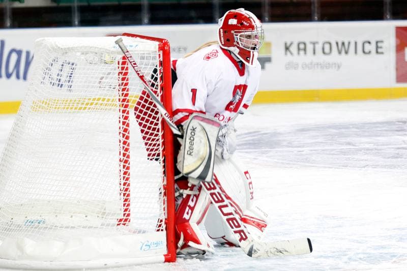 Ice Hockey. Women's Friendly Match. Poland - Hungary. 05.02.2016