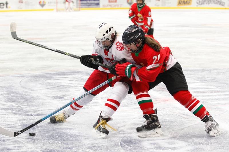 Ice Hockey. Women's Friendly Match. Poland - Hungary. 05.02.2016