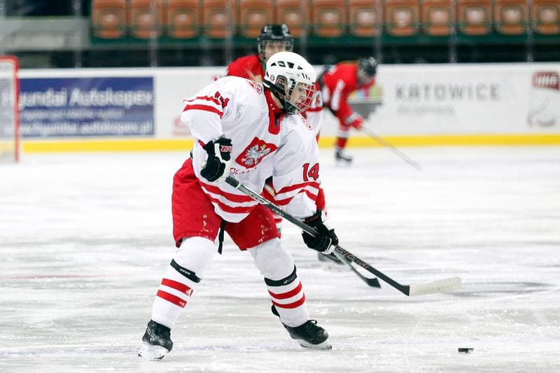 Ice Hockey. Women's Friendly Match. Poland - Hungary. 05.02.2016