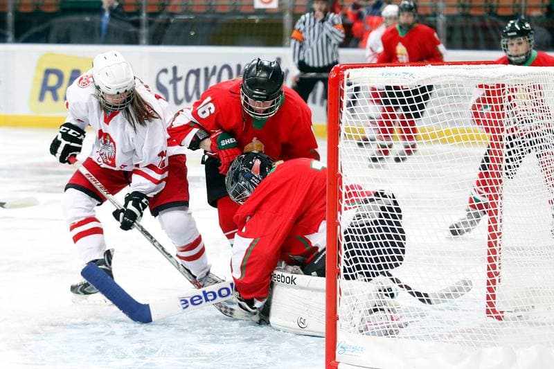 Ice Hockey. Women's Friendly Match. Poland - Hungary. 05.02.2016