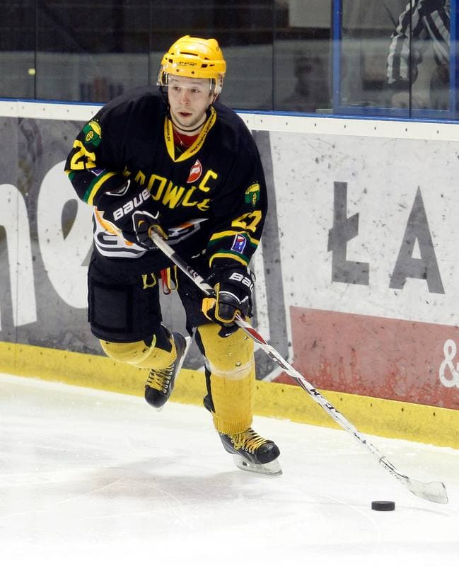 Ice Hockey. Polska Hokej Liga. GKS Tychy - HC GKS Katowice. 18.02.2014