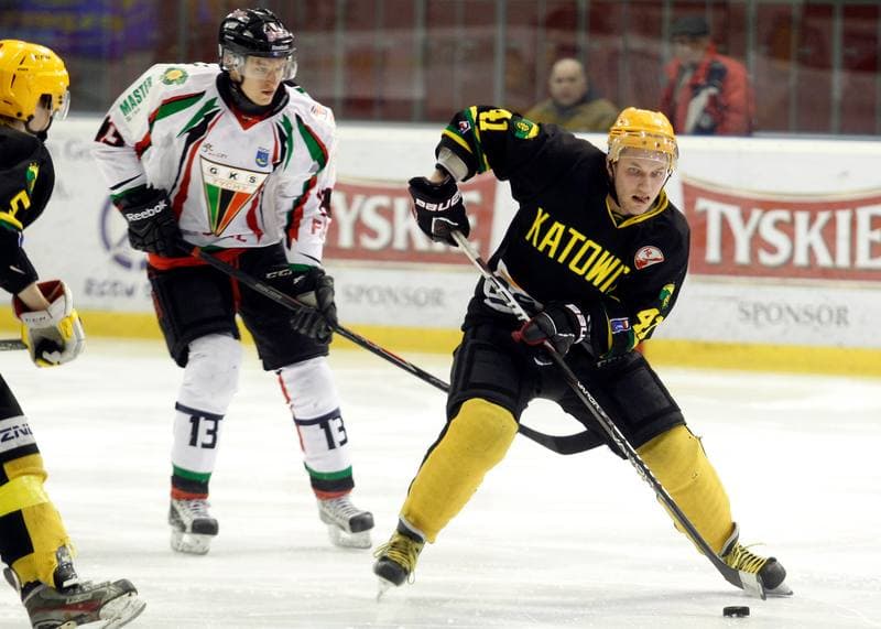 Ice Hockey. Polska Hokej Liga. GKS Tychy - HC GKS Katowice. 18.02.2014