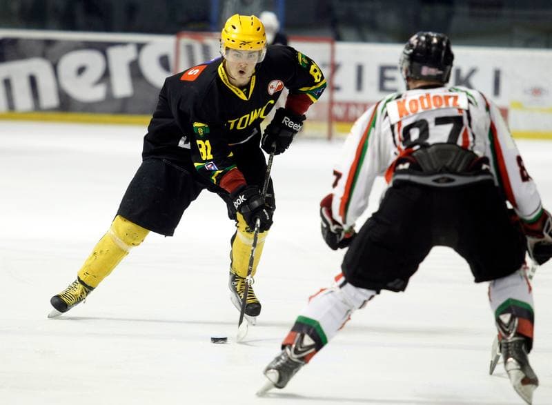 Ice Hockey. Polska Hokej Liga. GKS Tychy - HC GKS Katowice. 18.02.2014