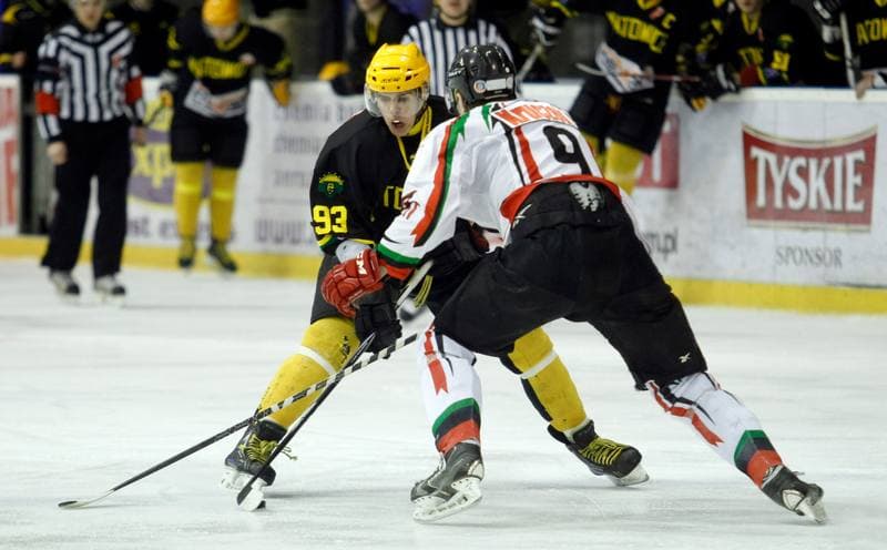 Ice Hockey. Polska Hokej Liga. GKS Tychy - HC GKS Katowice. 18.02.2014