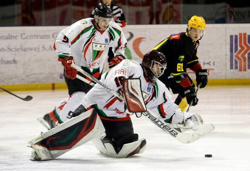 Ice Hockey. Polska Hokej Liga. GKS Tychy - HC GKS Katowice. 18.02.2014