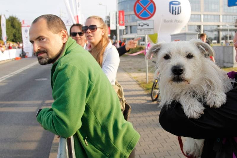 Athletics. PKO Silesia Marathon. 02.10.2016