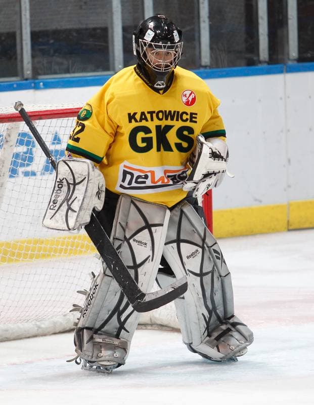 Ice Hockey. Polska Hokej Liga. HC GKS Katowice - Podhale Nowy Targ. 03.11.2013