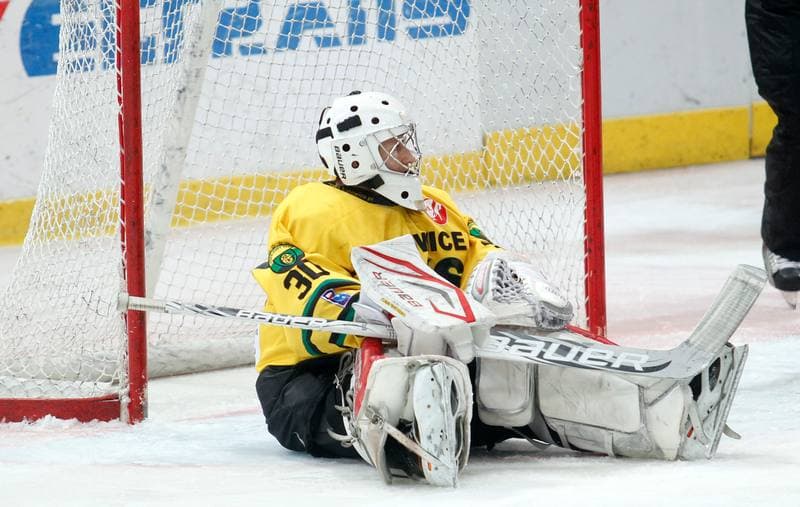 Ice Hockey. Polska Hokej Liga. HC GKS Katowice - Podhale Nowy Targ. 03.11.2013