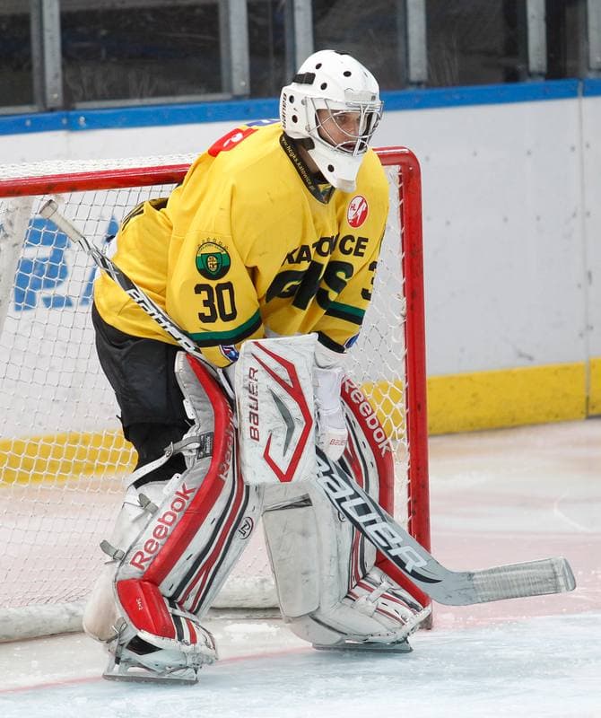 Ice Hockey. Polska Hokej Liga. HC GKS Katowice - Podhale Nowy Targ. 03.11.2013