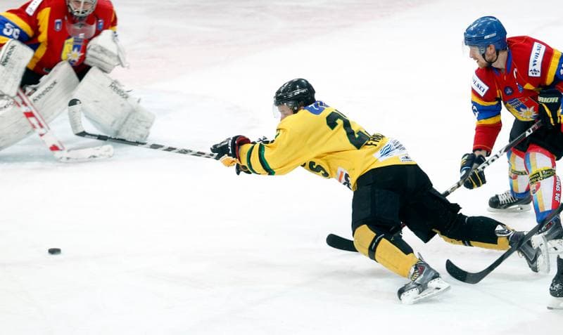 Ice Hockey. Polska Hokej Liga. HC GKS Katowice - Podhale Nowy Targ. 03.11.2013