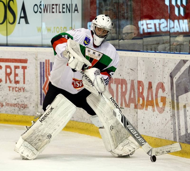 Ice Hockey. Polska Hokej Liga. GKS Tychy - JKH GKS Jastrzebie. 30.11.2014