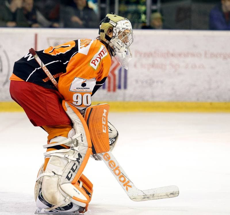 Ice Hockey. Polska Hokej Liga. GKS Tychy - JKH GKS Jastrzebie. 30.11.2014