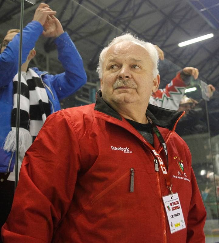 Ice Hockey. I Liga. Zaglebie Sosnowiec - Nesta Torun. 22.03.2015