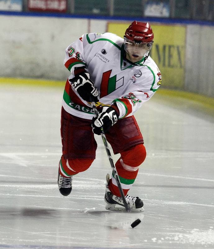 Ice Hockey. I Liga. Zaglebie Sosnowiec - Nesta Torun. 22.03.2015