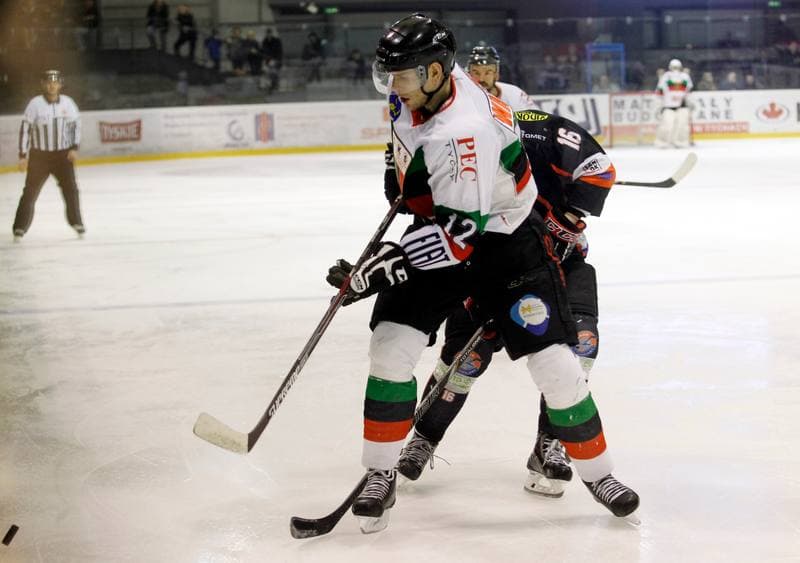 Ice Hockey. Polska Hokej Liga. GKS Tychy - Ciarko KH Sanok. 23.01.2015