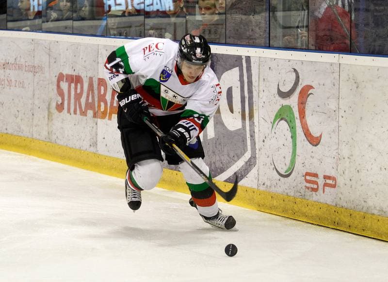 Ice Hockey. Polska Hokej Liga. GKS Tychy - Ciarko KH Sanok. 23.01.2015