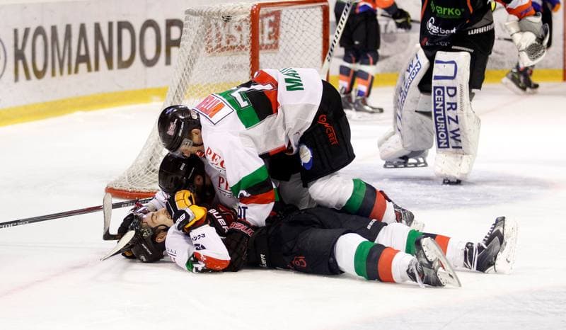 Ice Hockey. Polska Hokej Liga. GKS Tychy - Ciarko KH Sanok. 23.01.2015