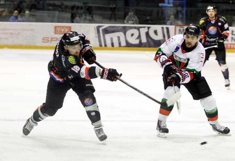 Ice Hockey. Polska Hokej Liga. GKS Tychy - Ciarko KH Sanok. 23.01.2015