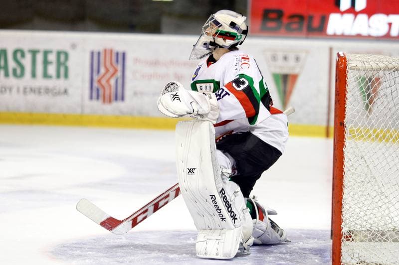 Ice Hockey. Polska Hokej Liga. GKS Tychy - Ciarko KH Sanok. 23.01.2015
