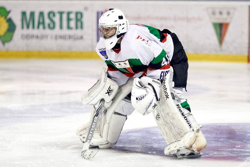Ice Hockey. Polska Hokej Liga. GKS Tychy - Ciarko KH Sanok. 23.01.2015