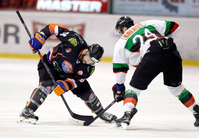 Ice Hockey. Polska Hokej Liga. GKS Tychy - Ciarko KH Sanok. 23.01.2015