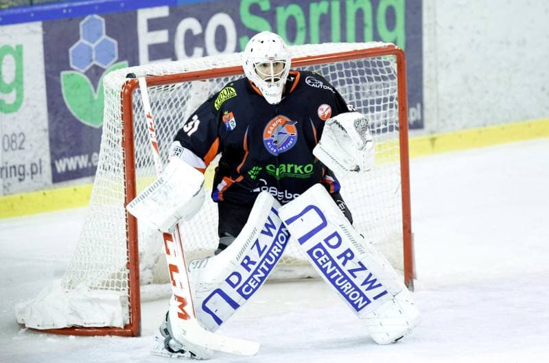 Ice Hockey. Polska Hokej Liga. Naprzod Janow - Ciarko KH Sanok. 14.12.2014
