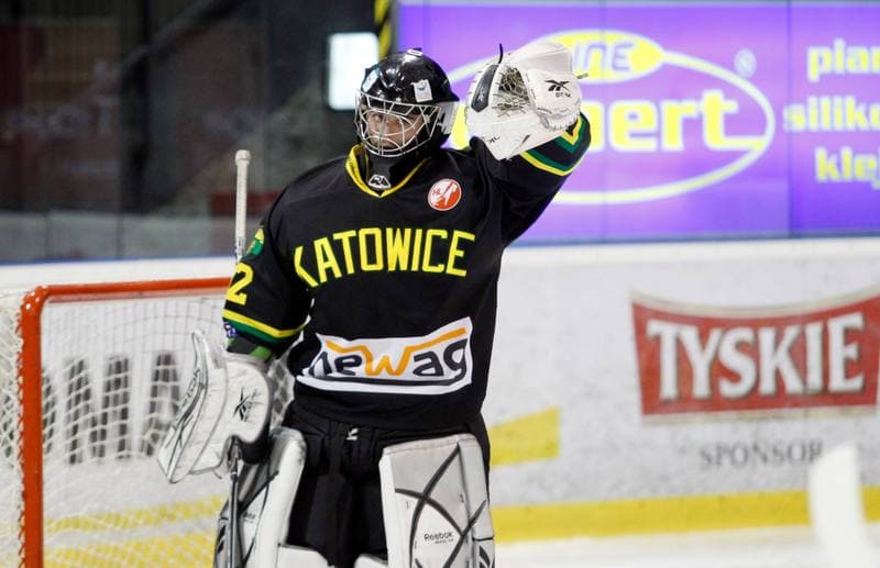 Ice Hockey. Polska Hokej Liga. GKS Tychy - HC GKS Katowice. 18.02.2014