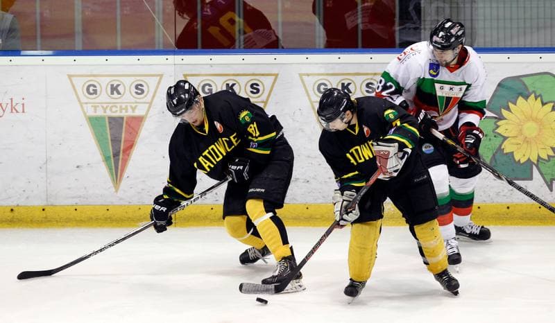 Ice Hockey. Polska Hokej Liga. GKS Tychy - HC GKS Katowice. 18.02.2014